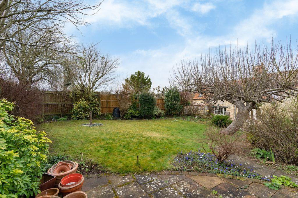 Garden at Back