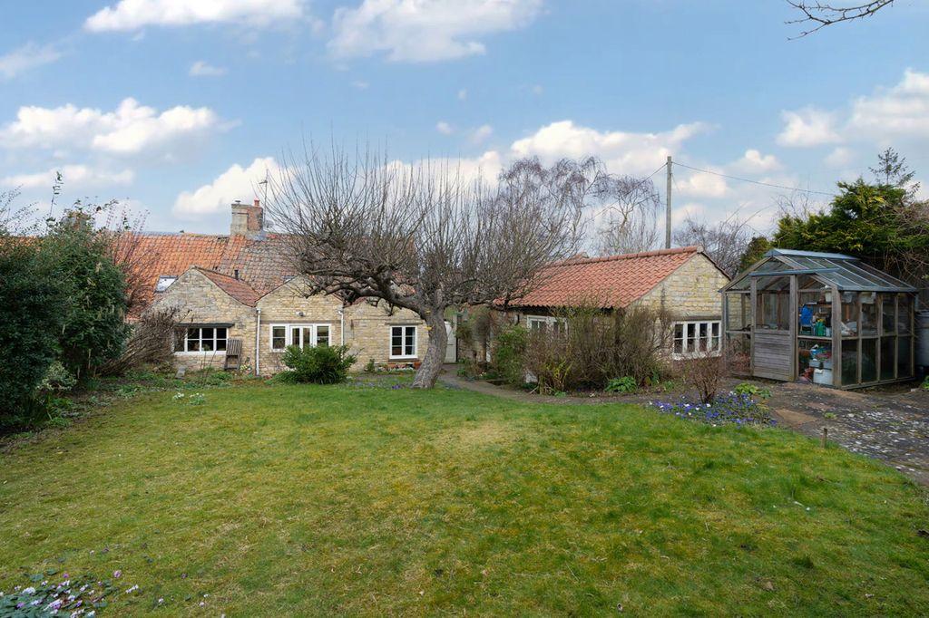 Garden at Back