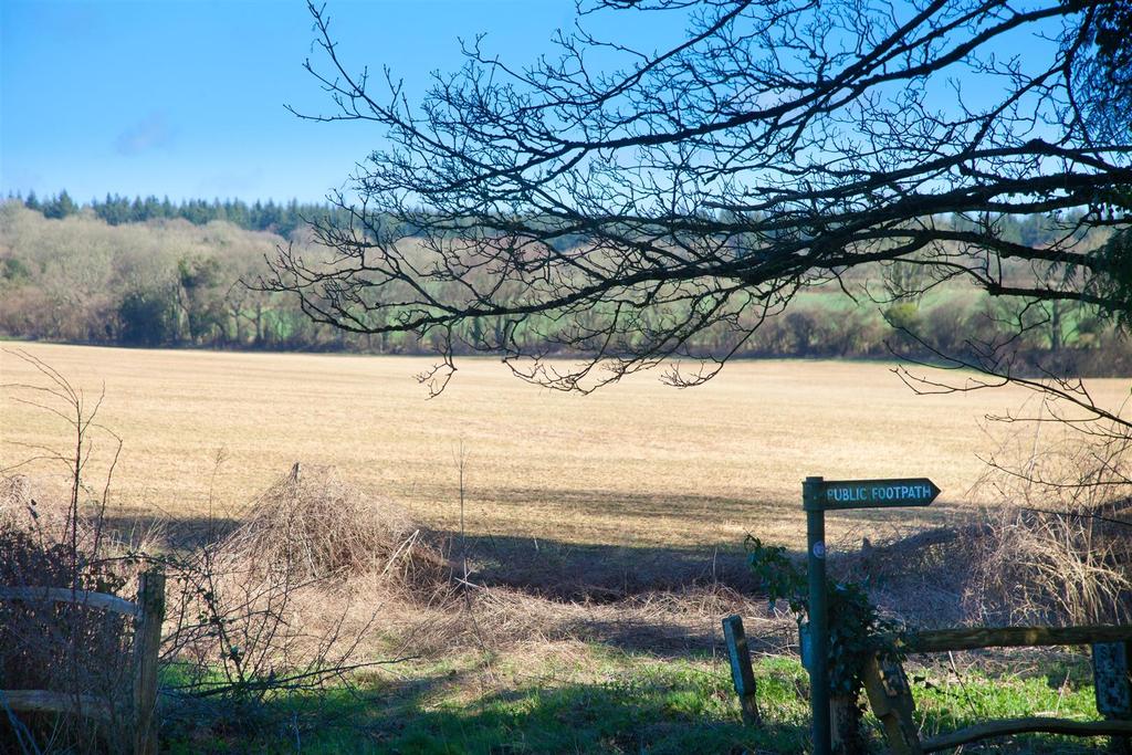 Rural Views from the property.jpg