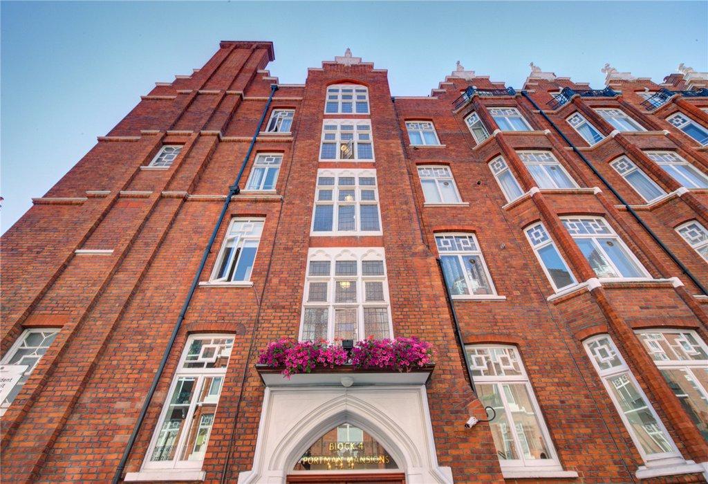Building View