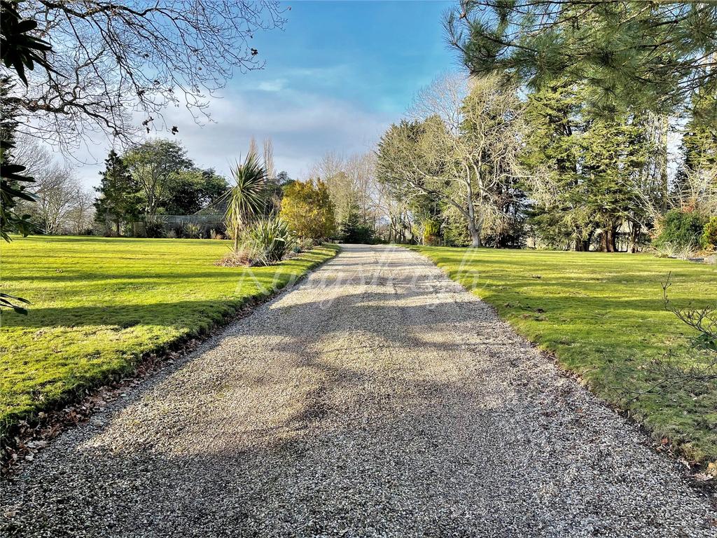 Driveway