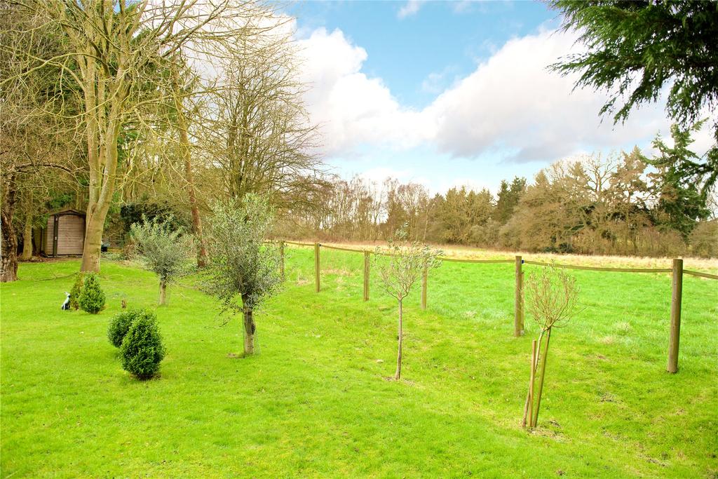 Grounds and Views