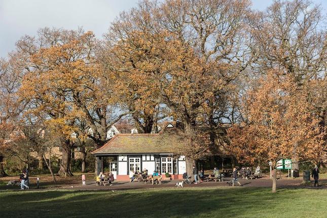 Springfield Place- park 2 CGI.jpg