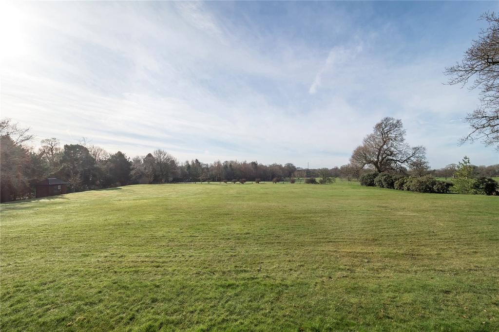 Grounds