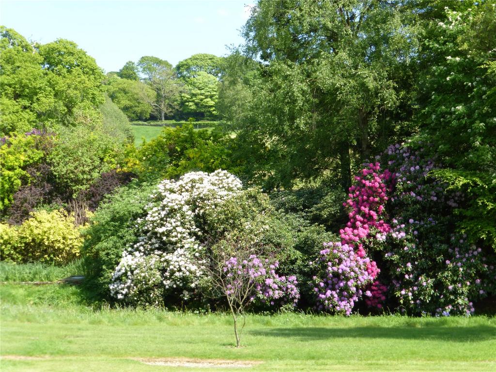 Communal Grounds
