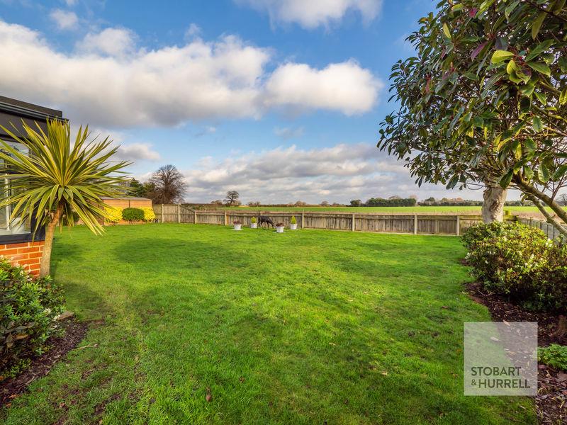 Field Views