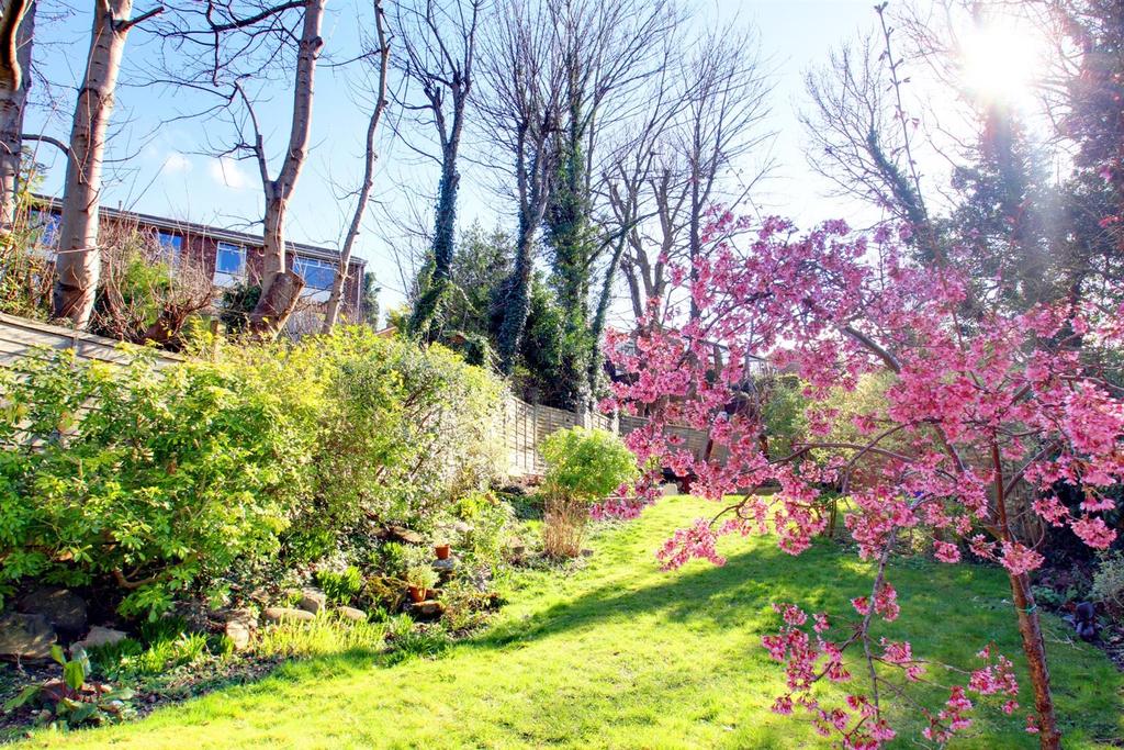 Garden 2.jpg