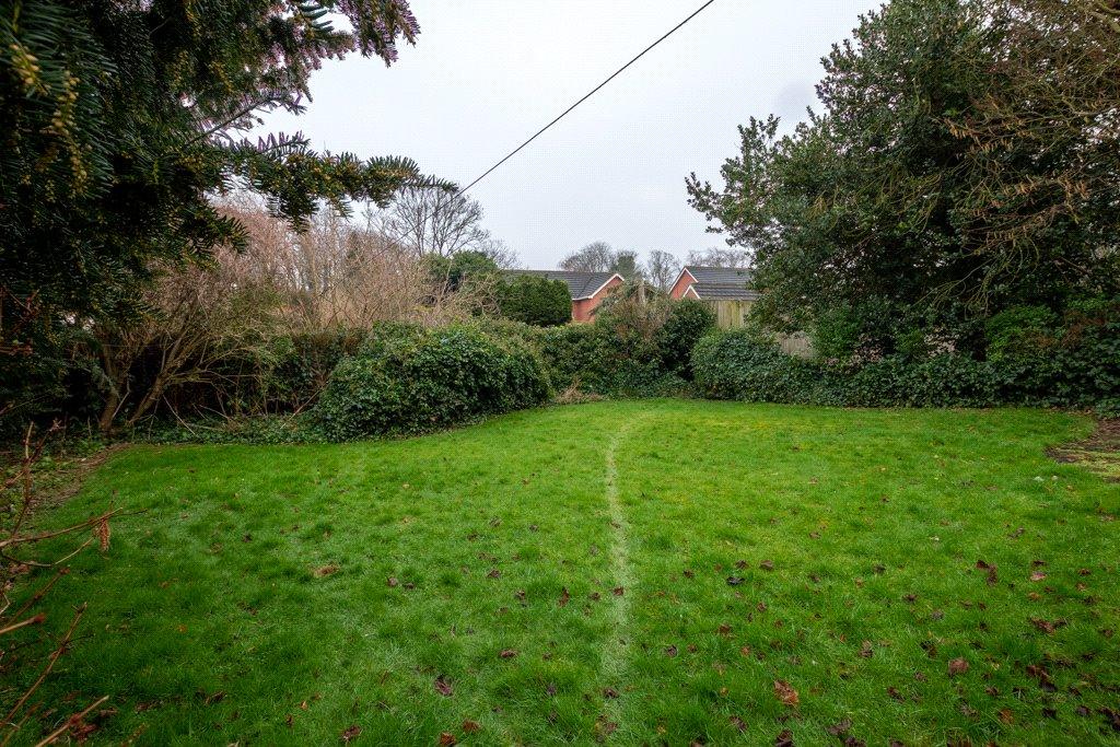 Grounds (3)