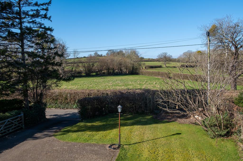 Front garden and beyond
