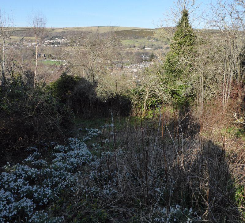 Plot 5, Dundas...