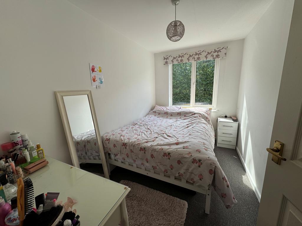 3 birch bed 2
