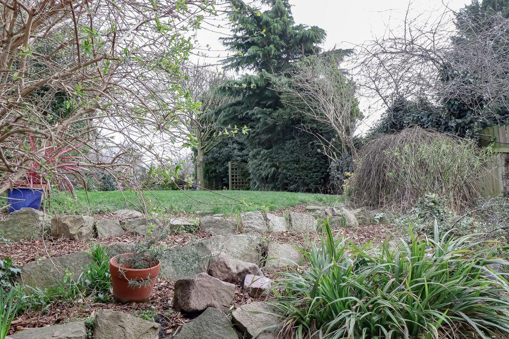 Garden at Back