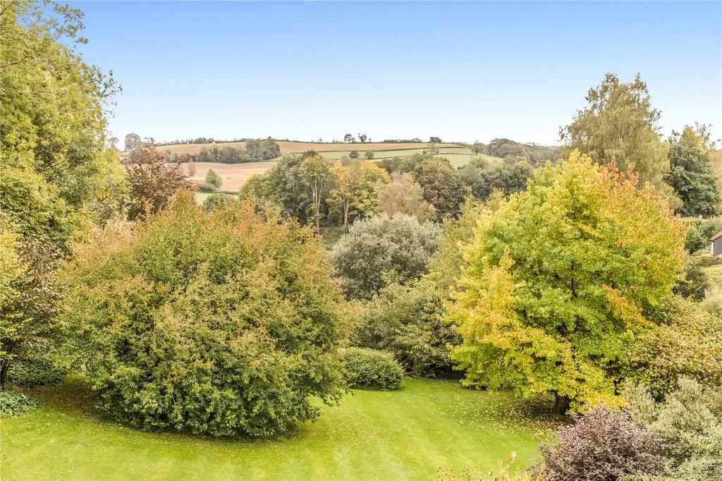 Country Views