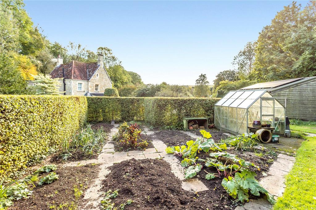 Vegetable Garden
