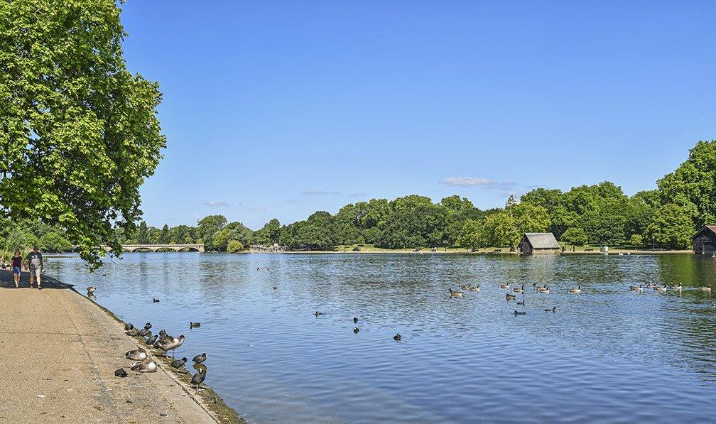 Hyde Park Serpentine