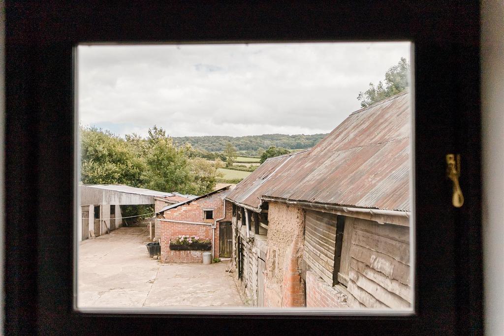 View from Roxie House