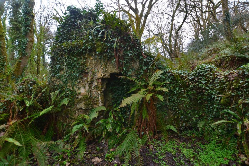 Ruin (2).jpg