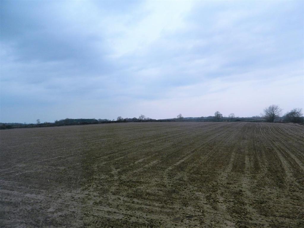 Dscn2243.jpg