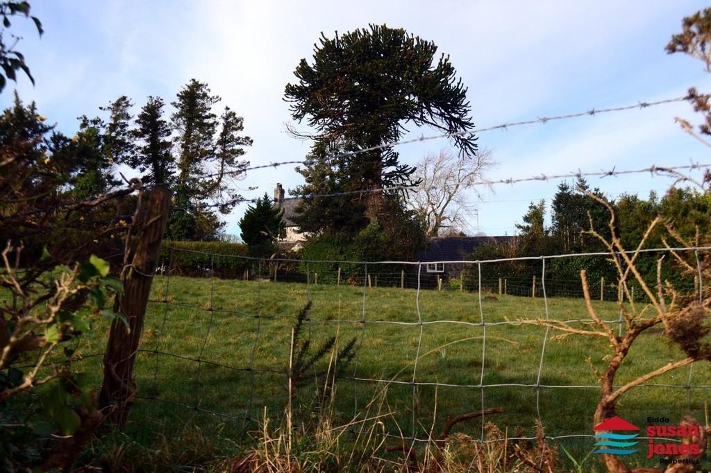 Front paddock