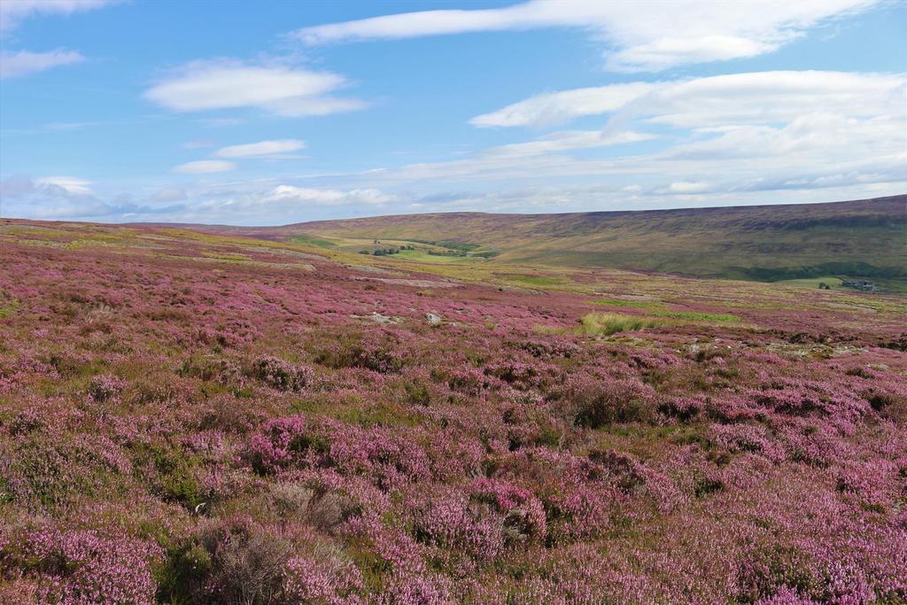 Stanhope Road, MiddletonInTeesdale... Land £750,000