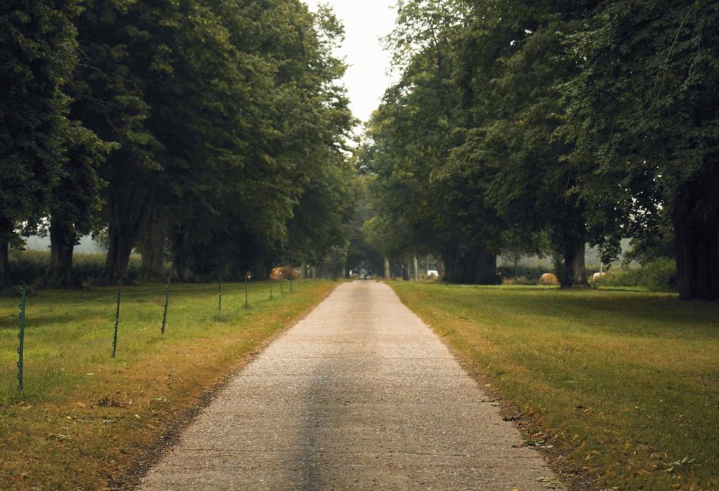 Picture No. 30