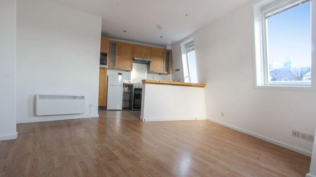 Living / Kitchen area