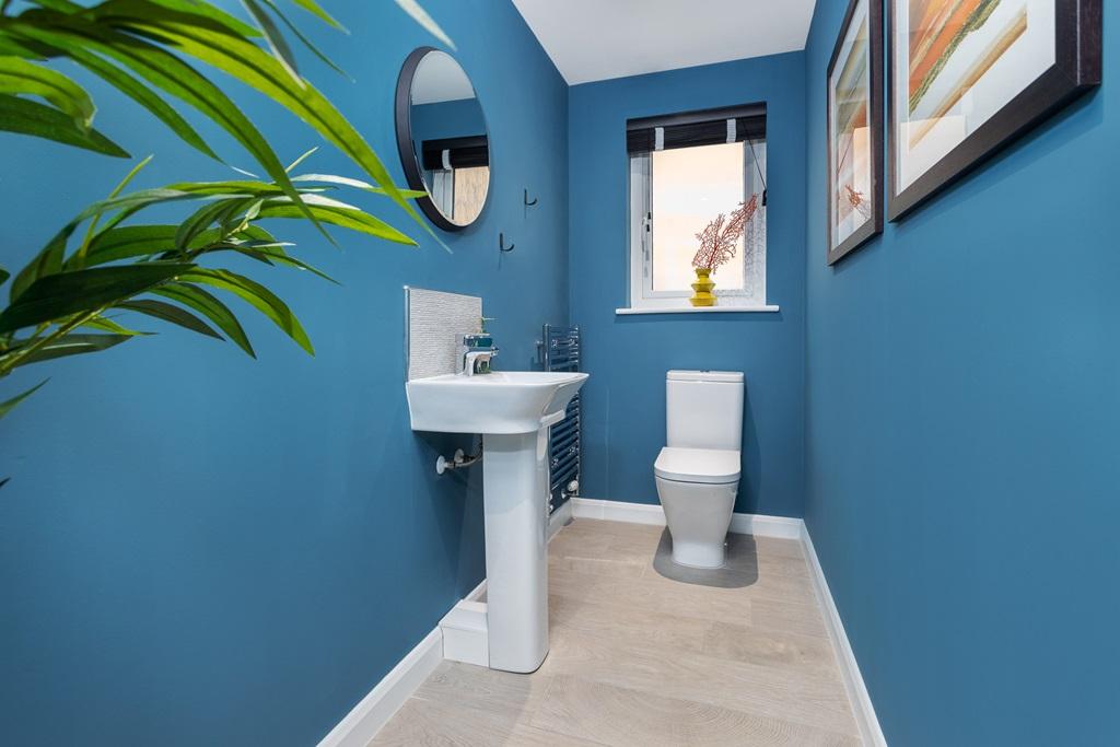 Convenient downstairs toilet