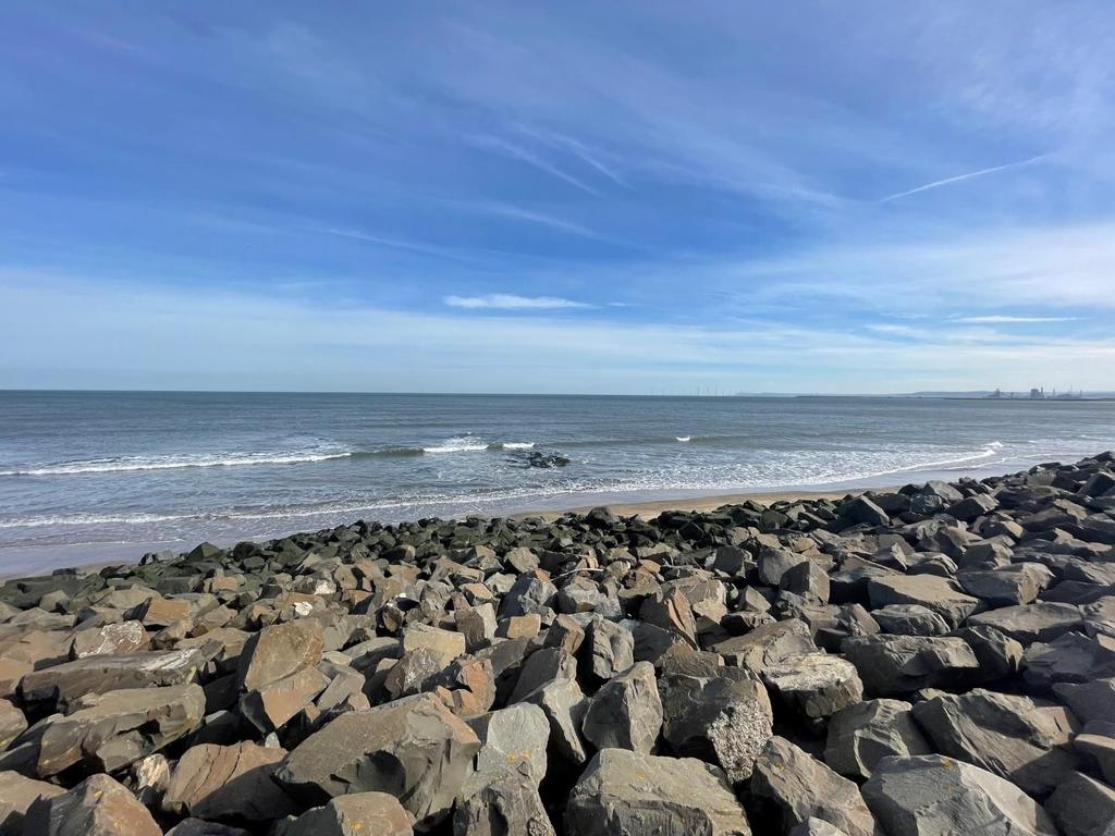 Front view
