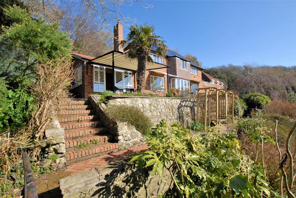 The house