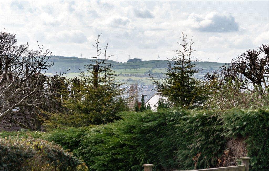 Distant Views