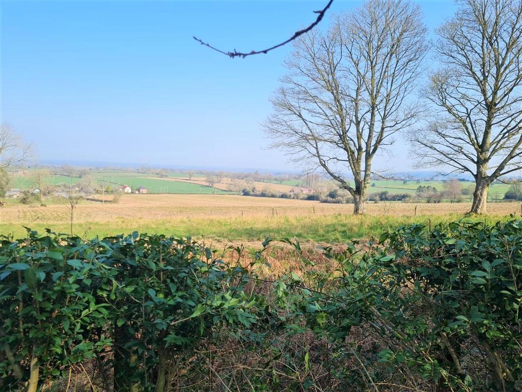 View.jpg