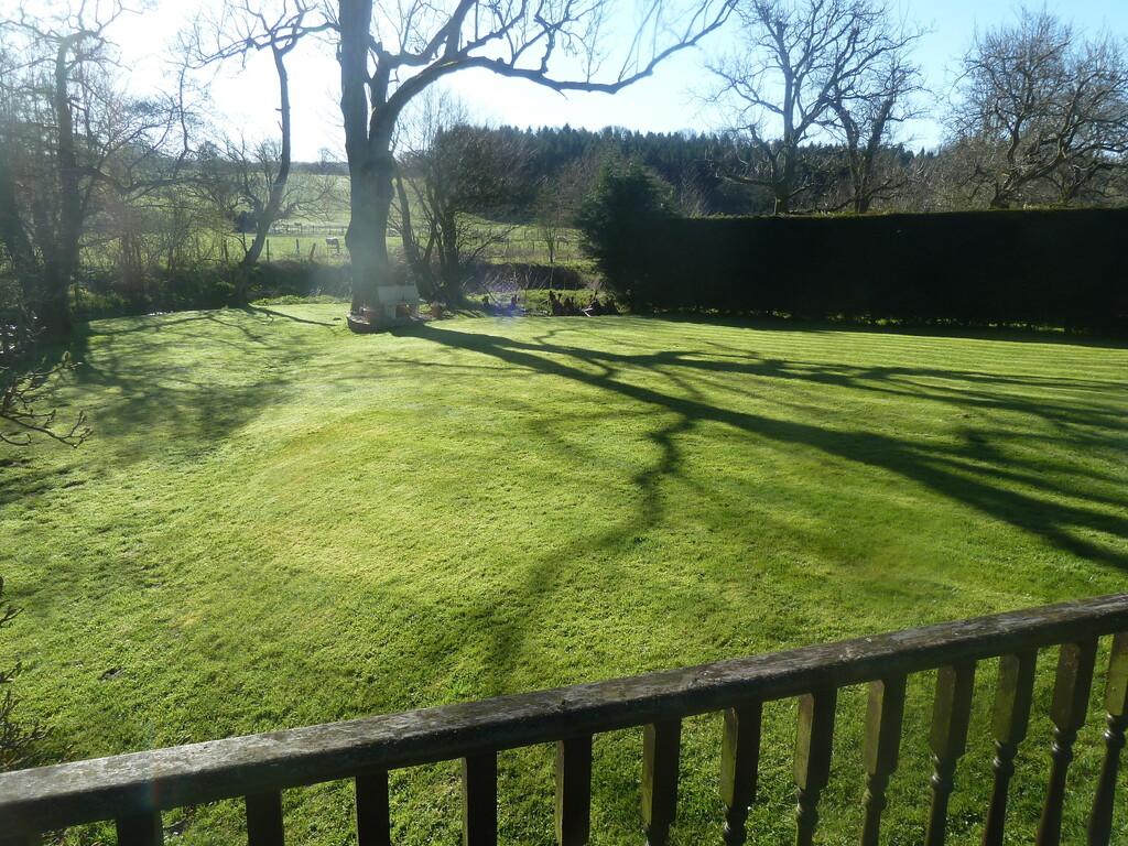 Stunning rear garden