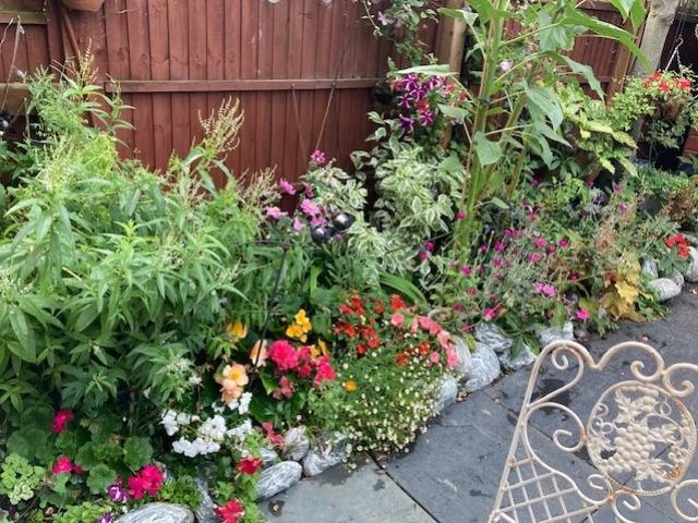 13 Rhodes Close - Flowers