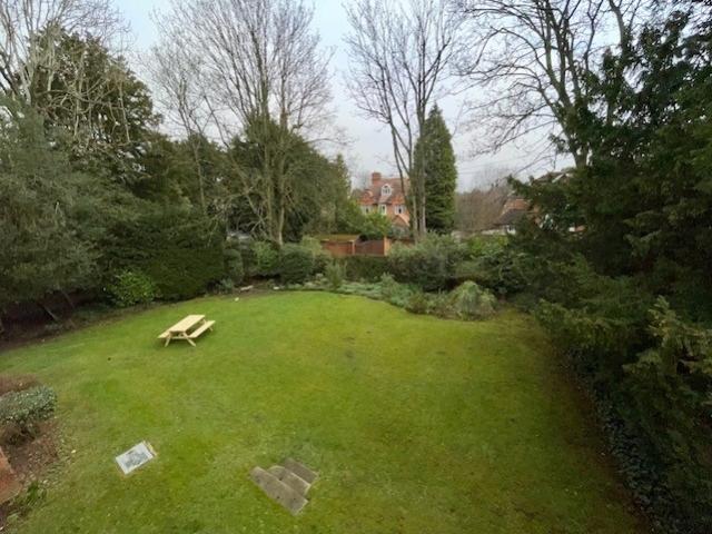 3 Hollywood COMMUNAL GARDEN