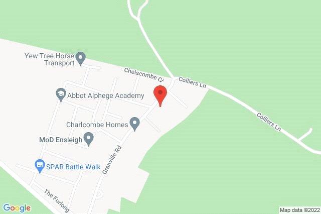 Google Maps Image