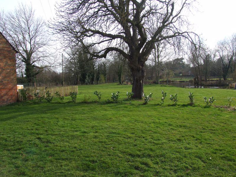 Communal garden