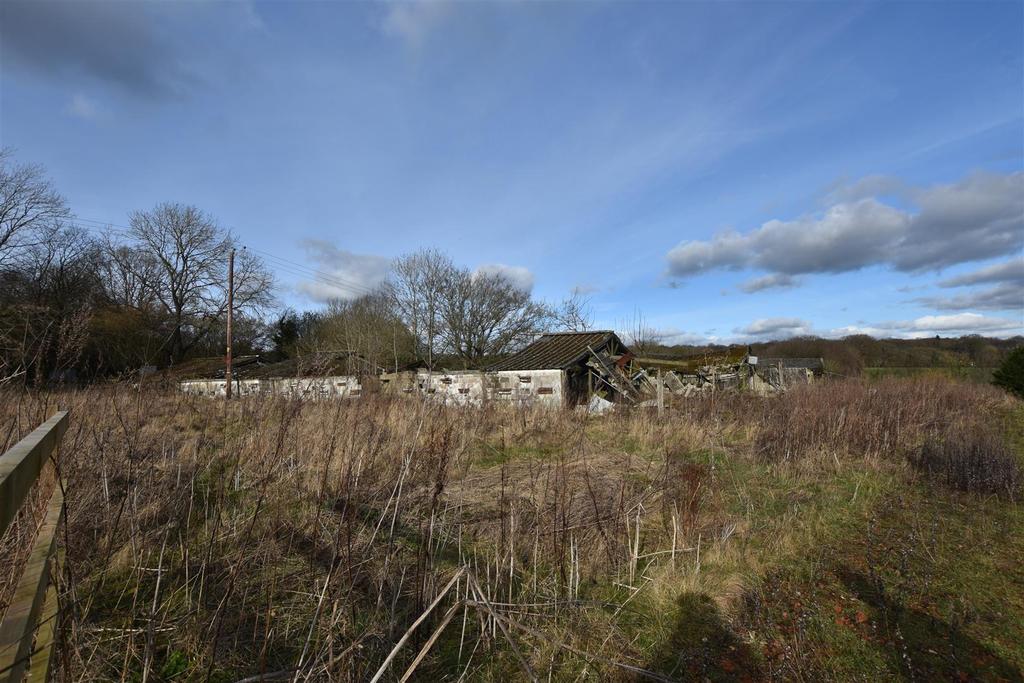 Dsc 0151.jpg