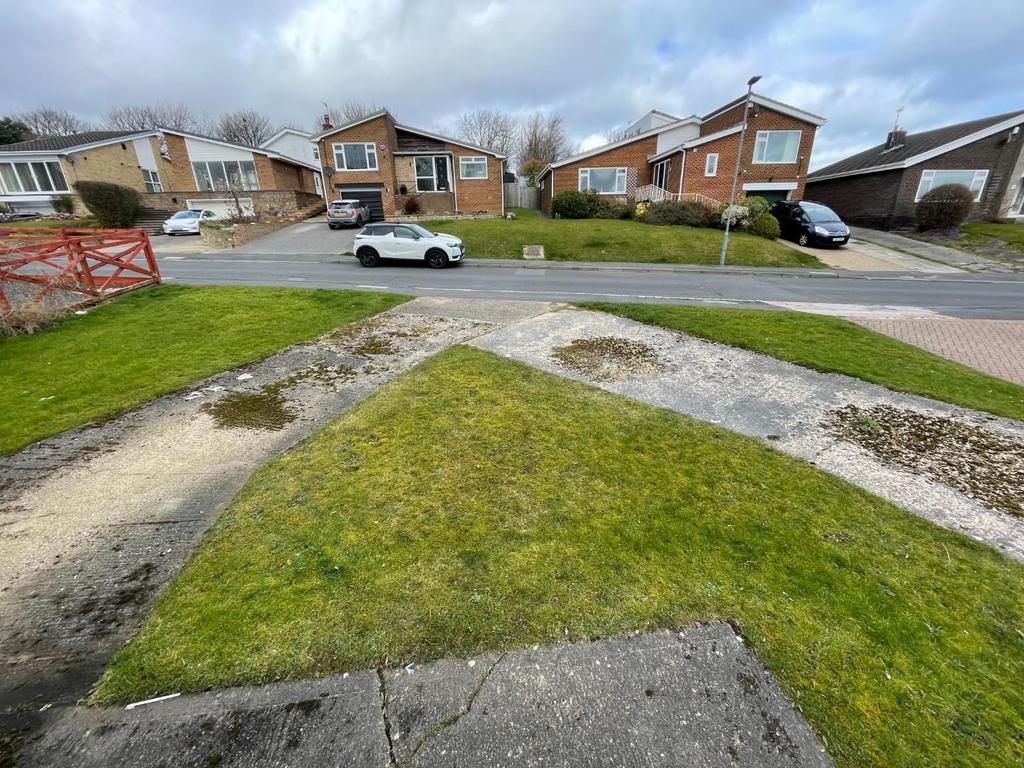Front garden and drive