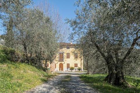 9 bedroom farm house - Lucca, Tuscany