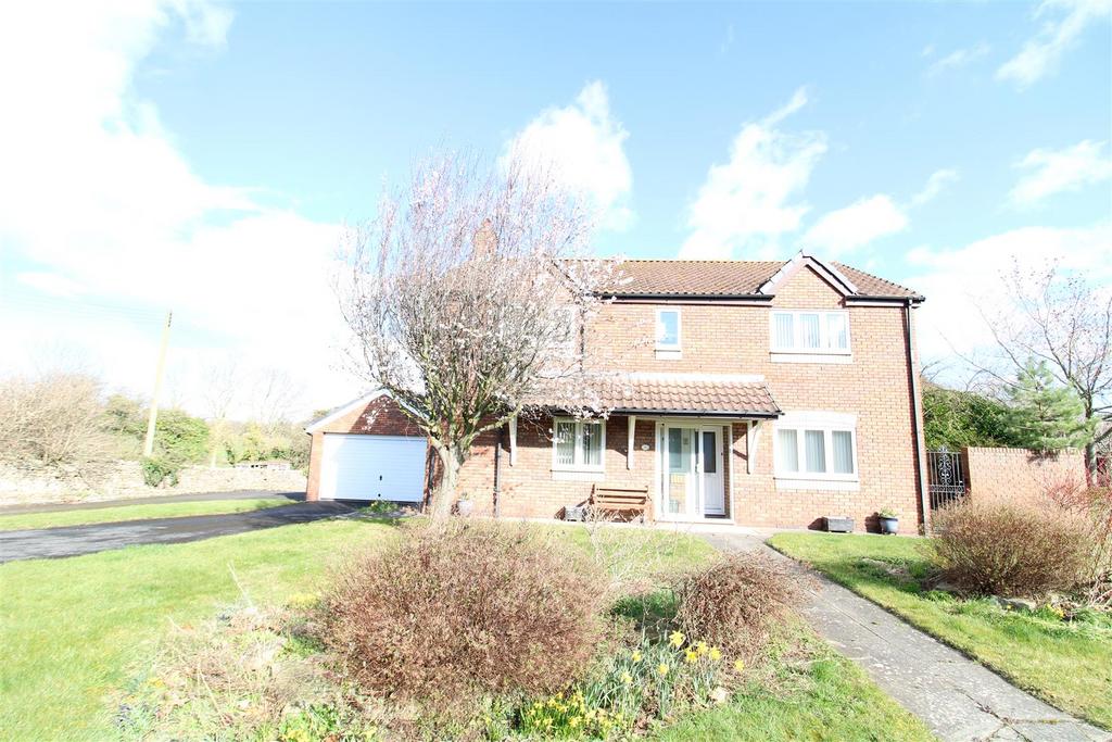 The Green, Cleasby, Darlington 4 bed detached house for sale £350,000
