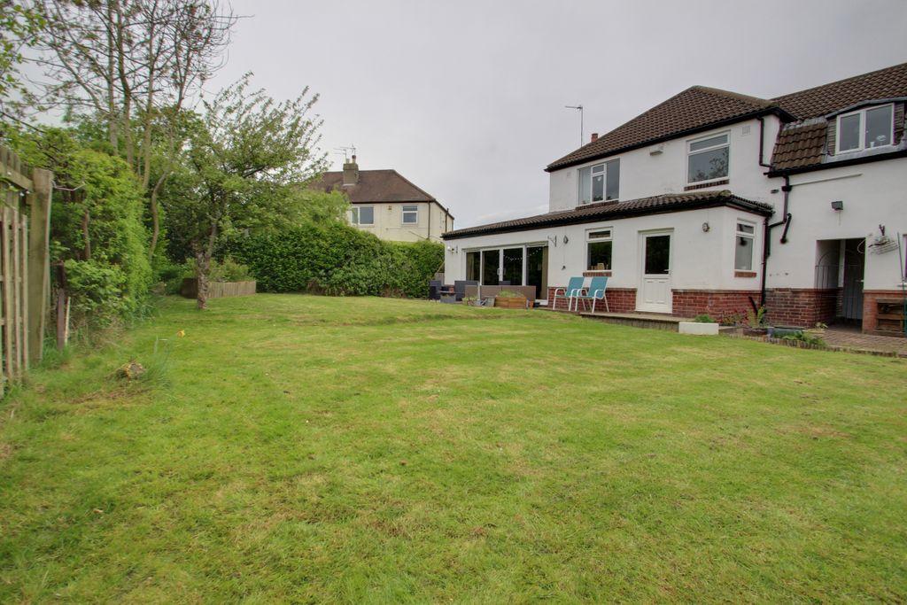 Garden at Back