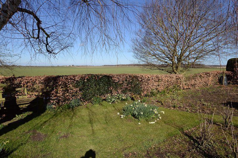 Open Country Views