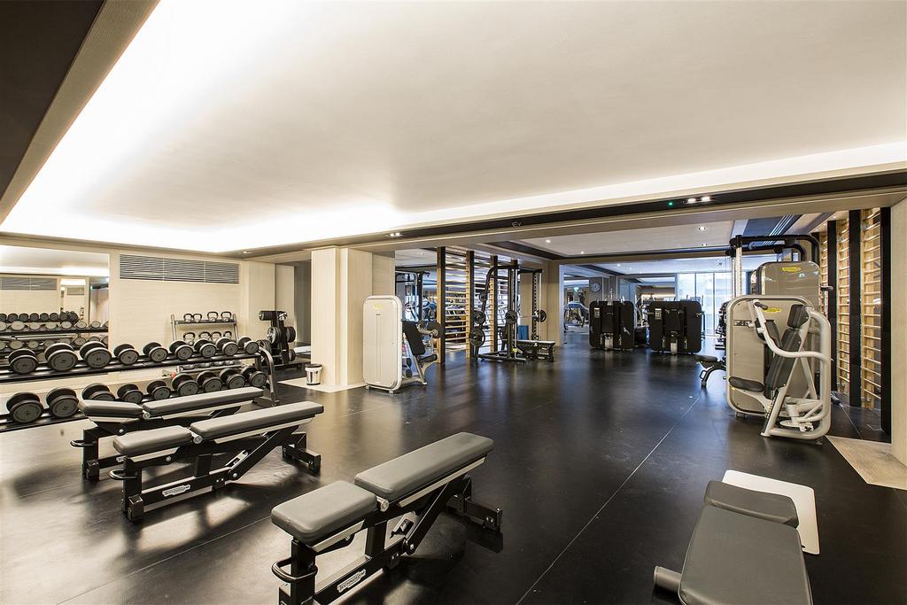 Gym 2.jpg