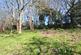Dsc 1199.jpg