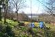Dsc 1217.jpg