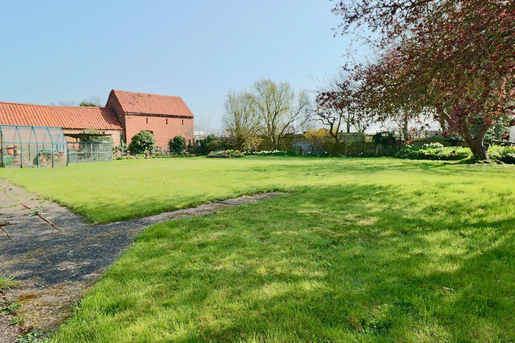 Garden at Back