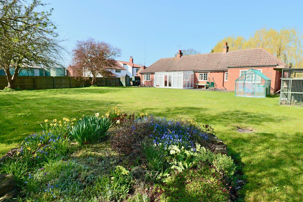 Garden at Back