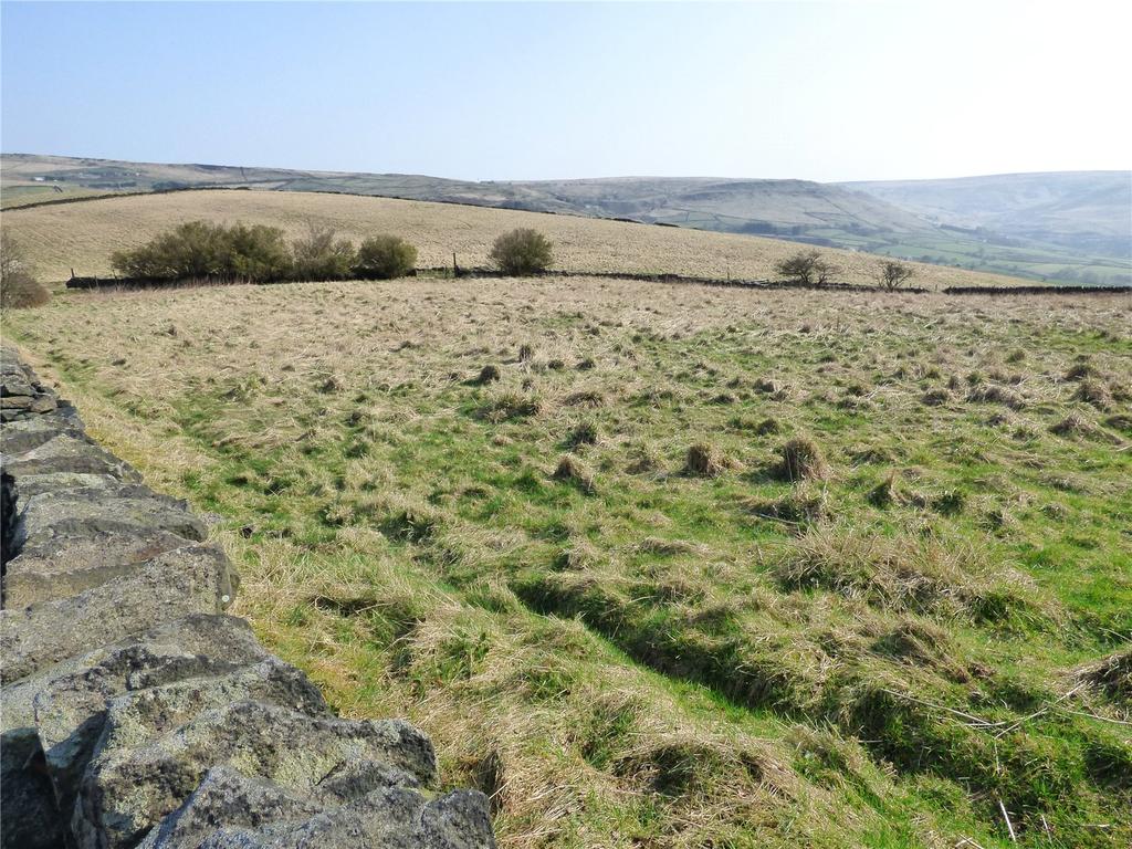 Land