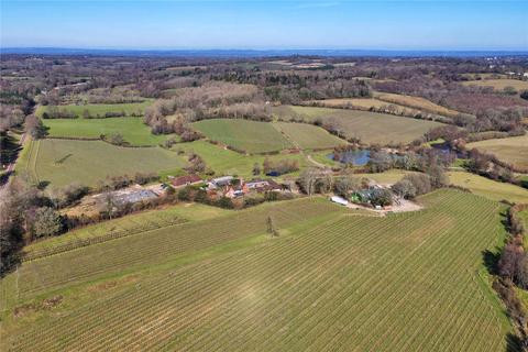 Kingscote vineyard clearance