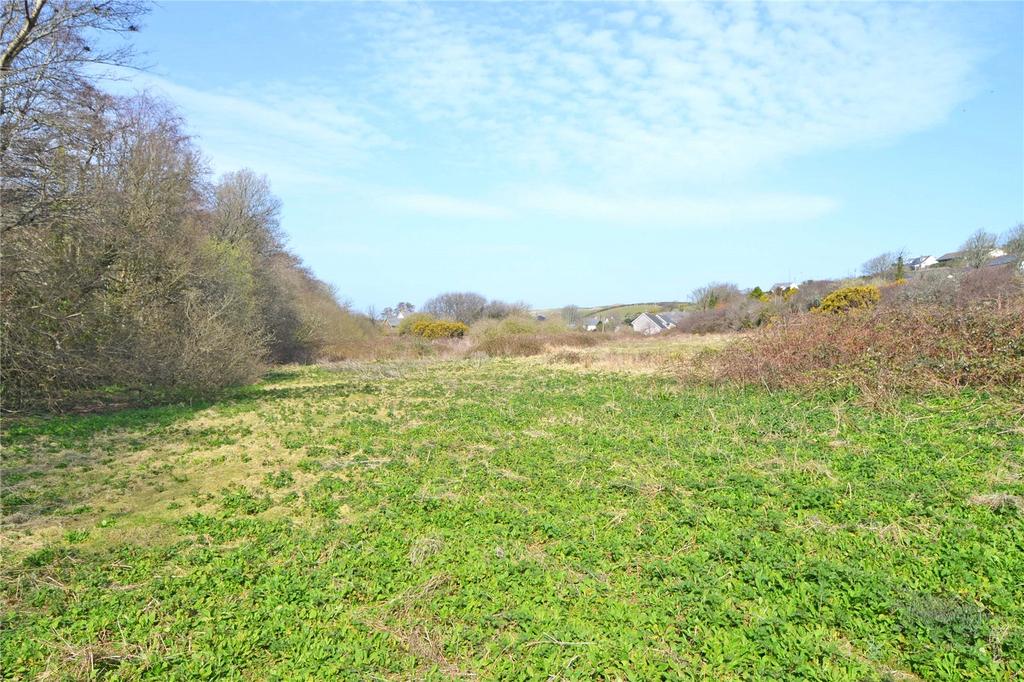 Lot 1